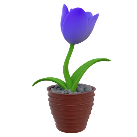 Flower Pot  3D Icon