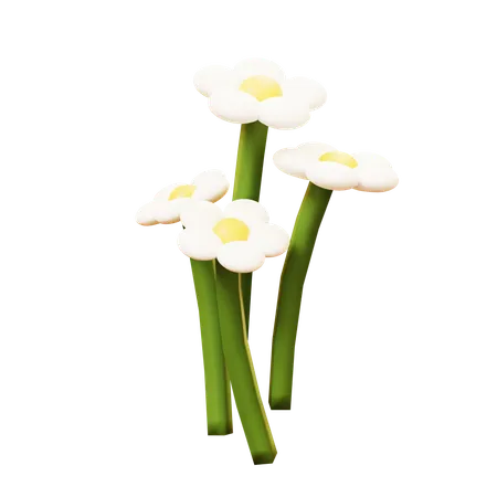 Flowers  3D Icon