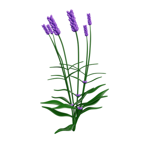 Flowers  3D Icon