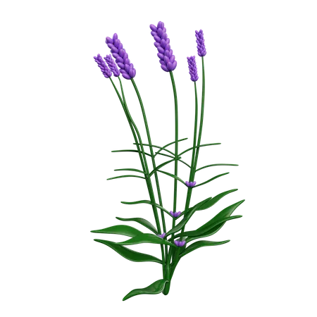 Flowers  3D Icon