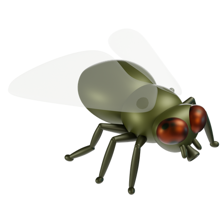 Fly  3D Icon