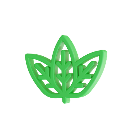 Folha verde  3D Icon