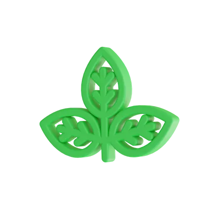 Folha verde  3D Icon