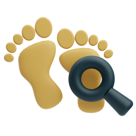 Footprint Investigation  3D Icon