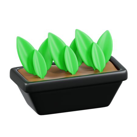 Garden Plants  3D Icon