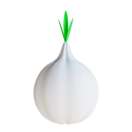 Garlic  3D Icon