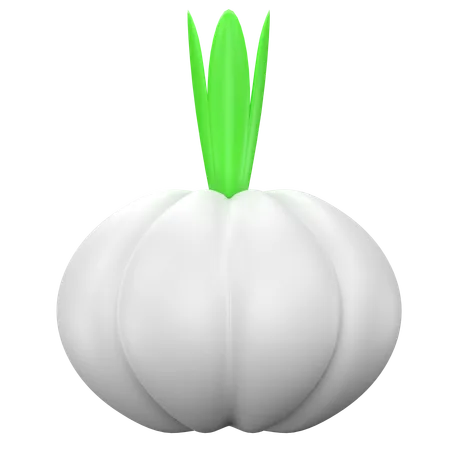 Garlic  3D Icon