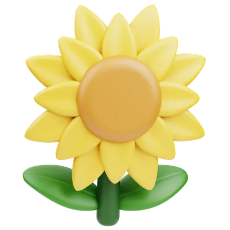 Girasol  3D Icon