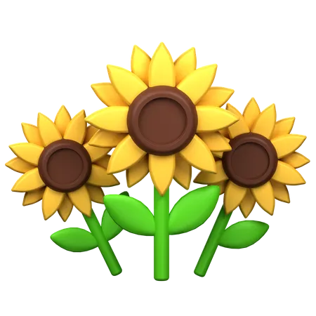 Girasol  3D Icon