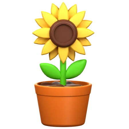 Girasol  3D Icon