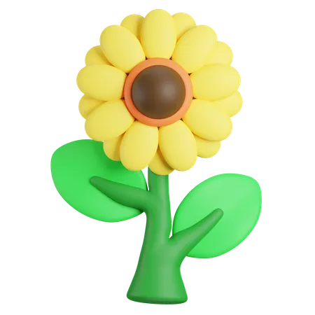 Girasol  3D Icon