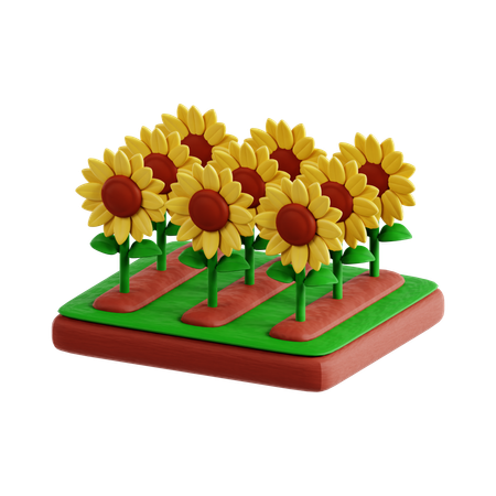 Girasol  3D Icon