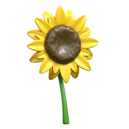 Girasol  3D Icon