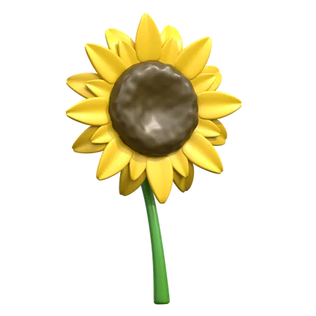 Girasol  3D Icon