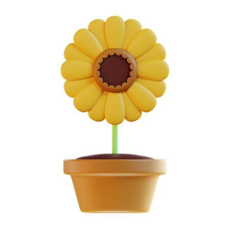 Girasol  3D Icon