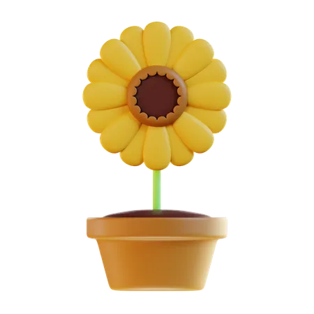 Girasol  3D Icon