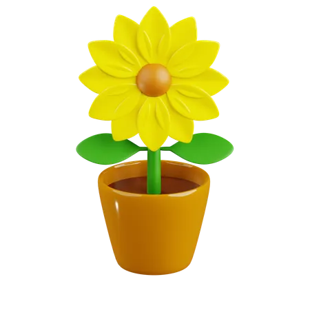 Girasol  3D Icon