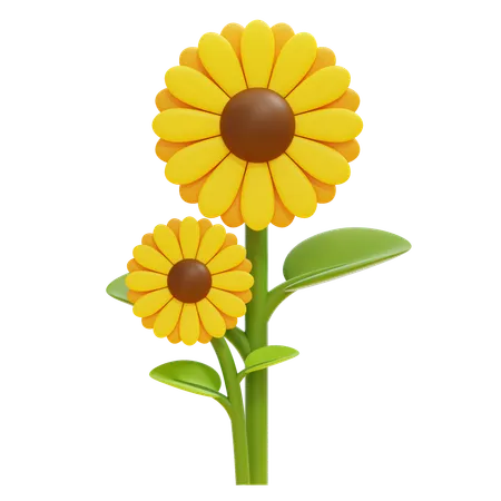 Girasol  3D Icon