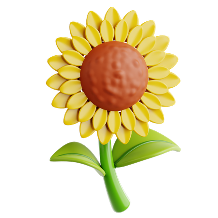 Girasol  3D Icon