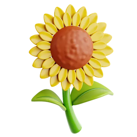 Girasol  3D Icon