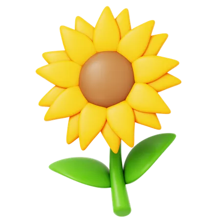 Girasol  3D Icon