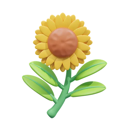 Girasol  3D Icon