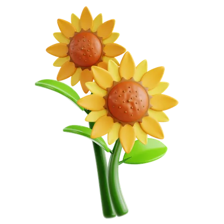 Girasol  3D Icon