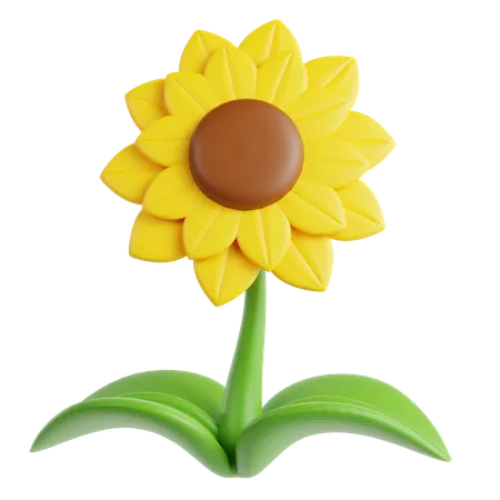 Girasol  3D Icon