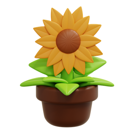 Girasol  3D Icon