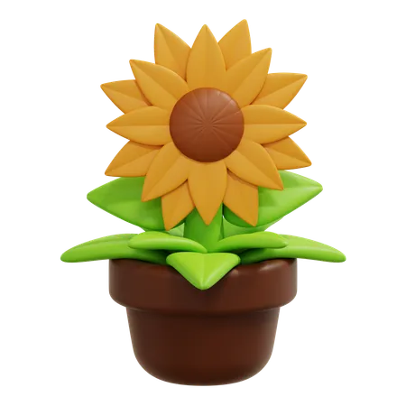 Girasol  3D Icon