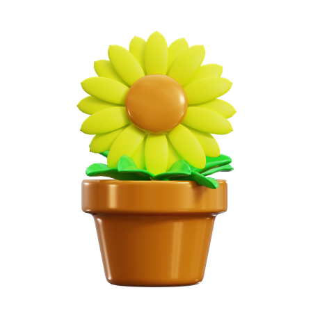 Girasol  3D Icon