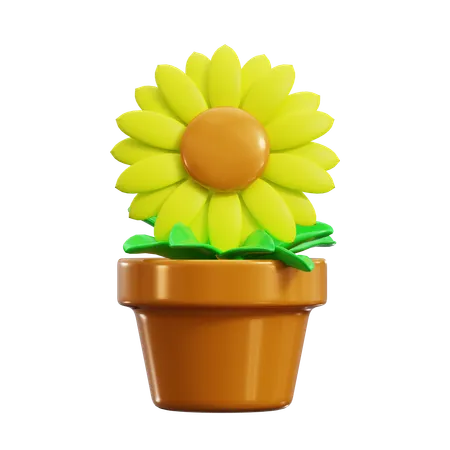 Girasol  3D Icon