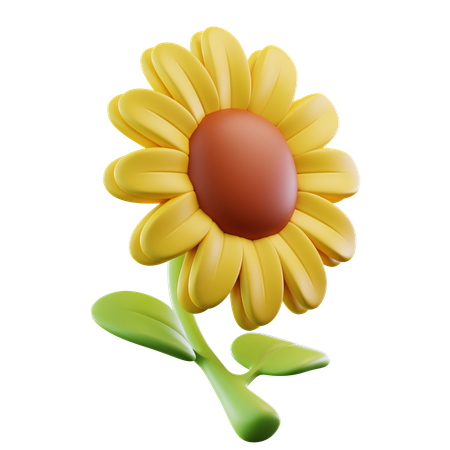 Girasol  3D Icon