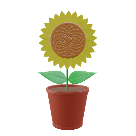 Girasol  3D Icon