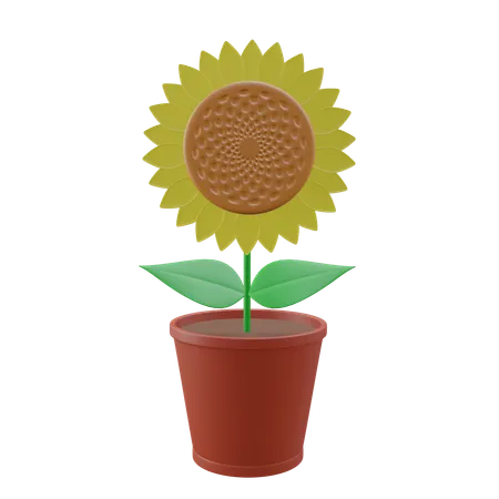 Girasol  3D Icon