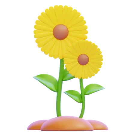 Girasol  3D Icon