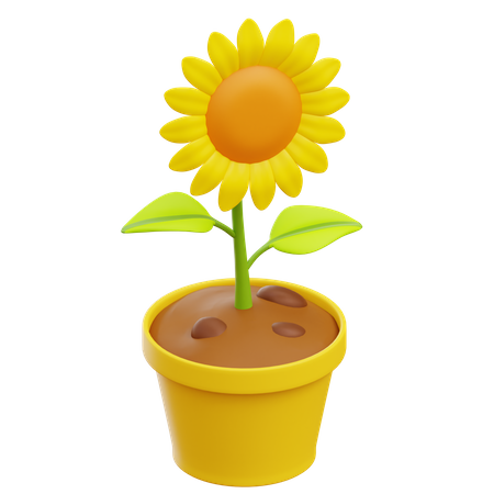 Girasol  3D Illustration