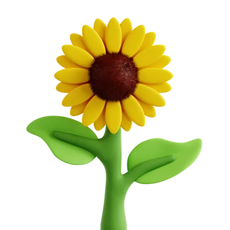 Girasol  3D Icon