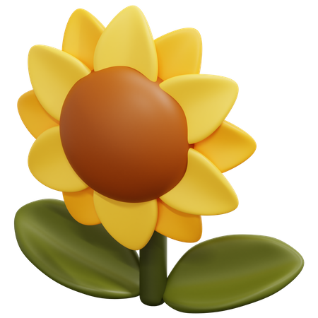 Girasol  3D Icon