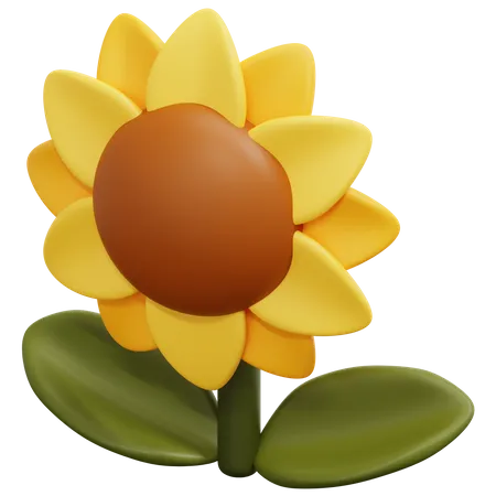 Girasol  3D Icon