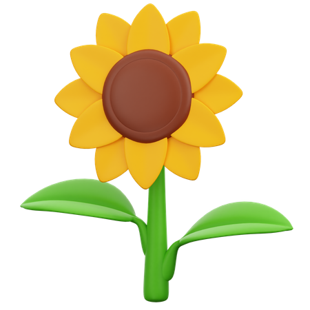 Girasol  3D Icon