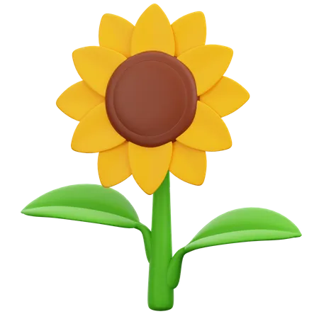 Girasol  3D Icon