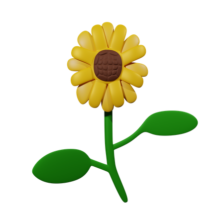 Girasol  3D Icon