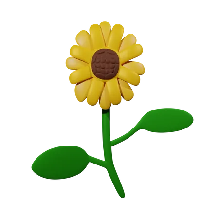 Girasol  3D Icon