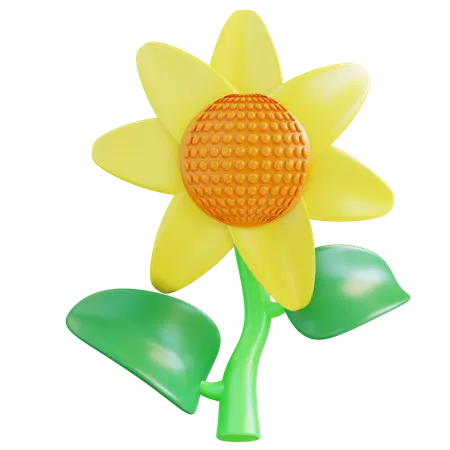 Girasol  3D Icon