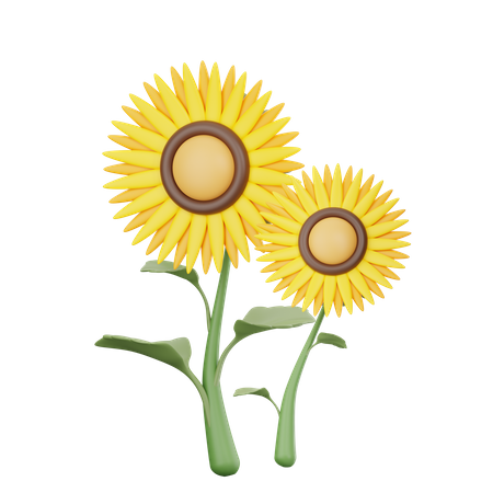 Girasol  3D Icon