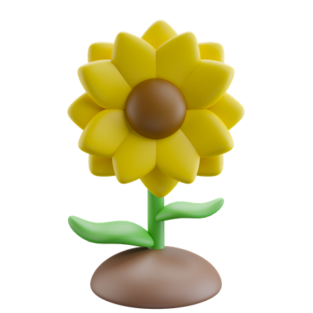 Girasol  3D Icon