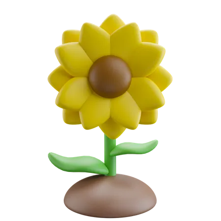 Girasol  3D Icon