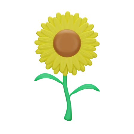 Girasol  3D Icon