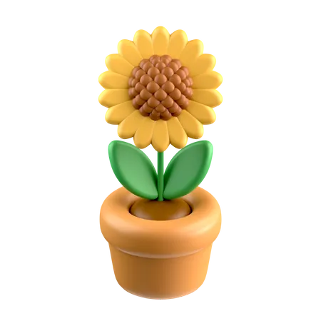 Girasol  3D Icon